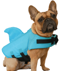 dog life jacket