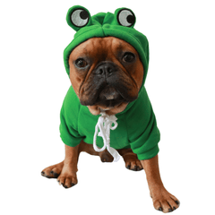 Frog French Bulldog hoodie