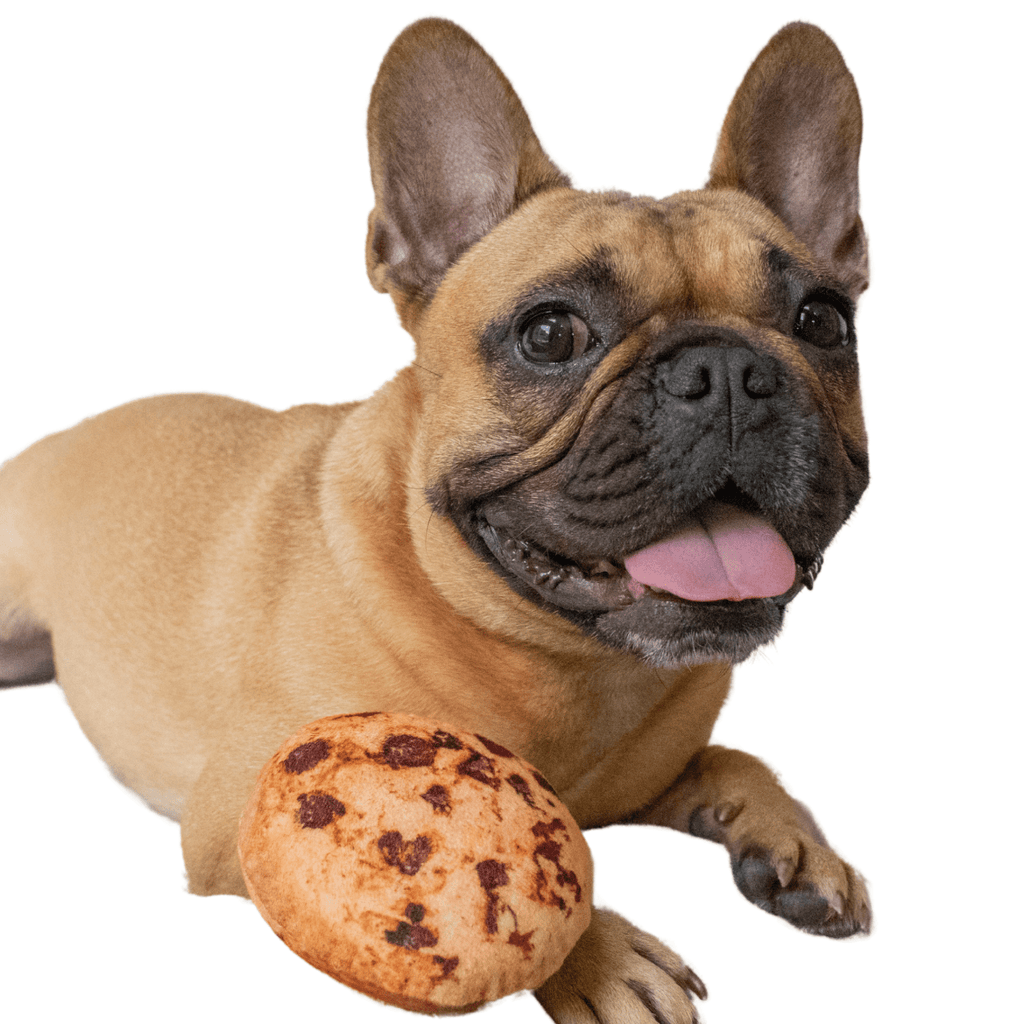 https://cdn.shopify.com/s/files/1/0578/1726/8405/products/cookie-dog-toy-38255895937281_1024x.png?v=1657344416
