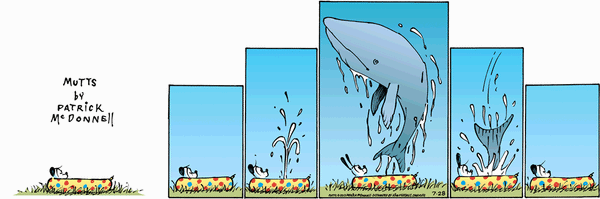 July 28, 2013 MUTTS comic strip