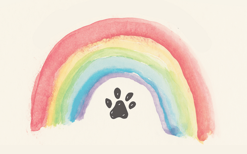 MUTTS-rainbow.png__PID:a124b03f-4ffa-444a-b256-6b1c57d2b005