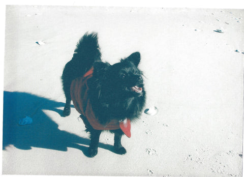 Abby Rhode enjoying a sunny day on the beach.