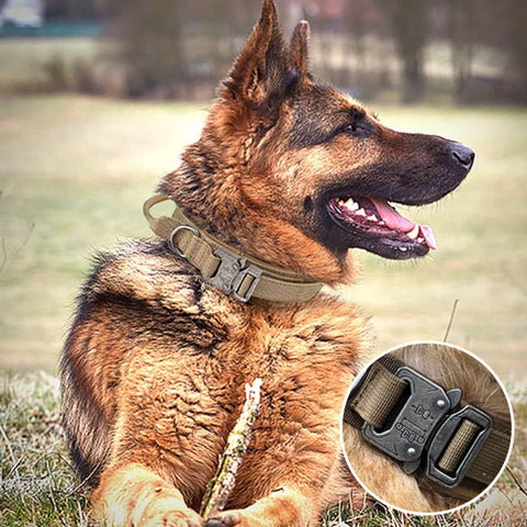 Collier-chien-avec-poignée-Khaki