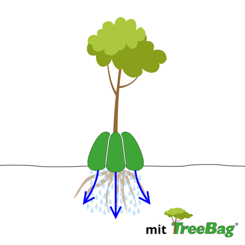 Illustration Baum mit Bewässerungssack bewässert.