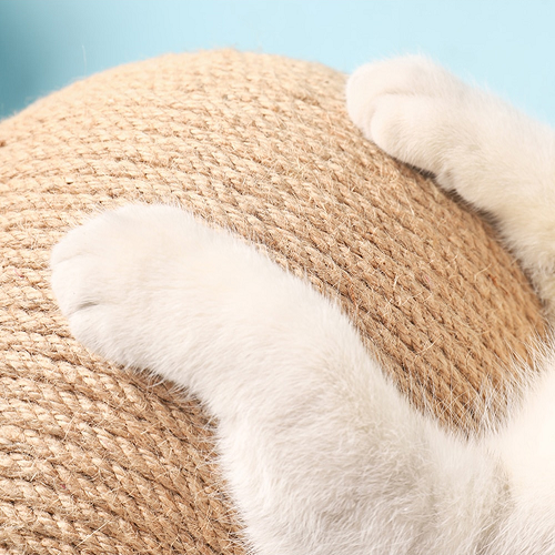 Deinlieblingstier Borusu | lustiges Katzen-Spielzeug & Kratzbaum - für Nagelpflege, langlebig, schont Möbel