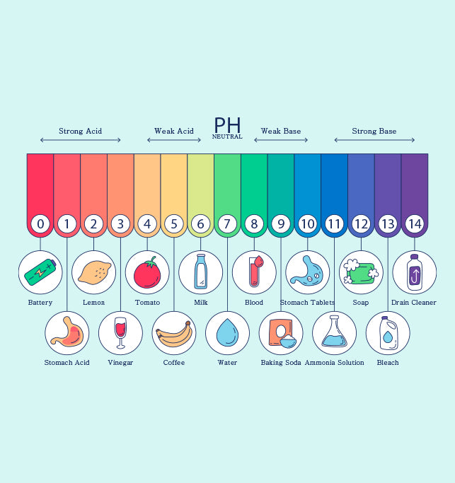 skin ph level