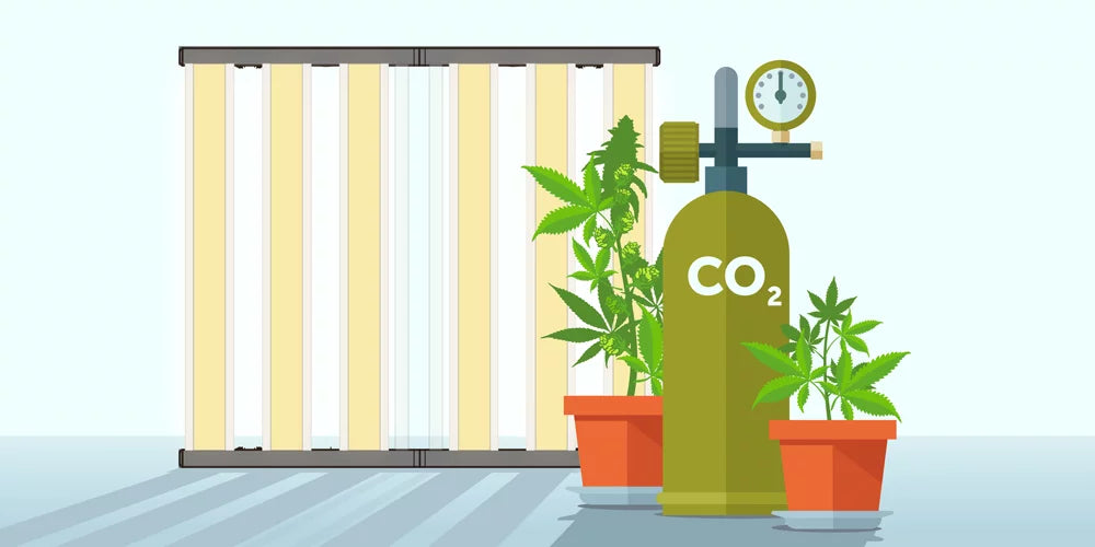 Optimizing CO2 Levels and Plant Lights for Indoor Plant Growth