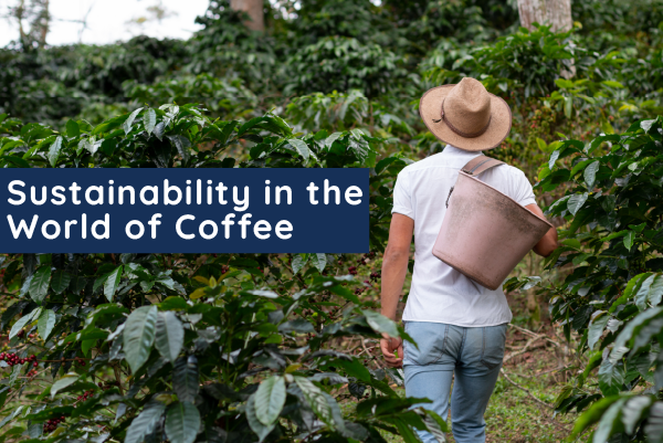 Sustainability in the World of Coffee