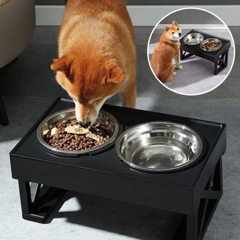 raised-dog-bowls