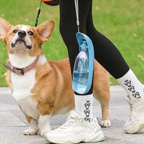 bouteille-d'eau-portable-pour-chien