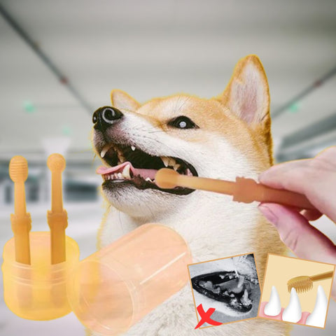 brosse-à-dents-pour-chien