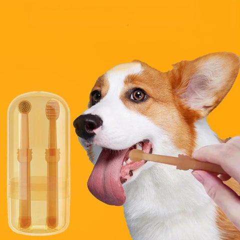 brosse-à-dents-pour-chien
