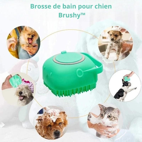 brosse-de-bain-pour-chien