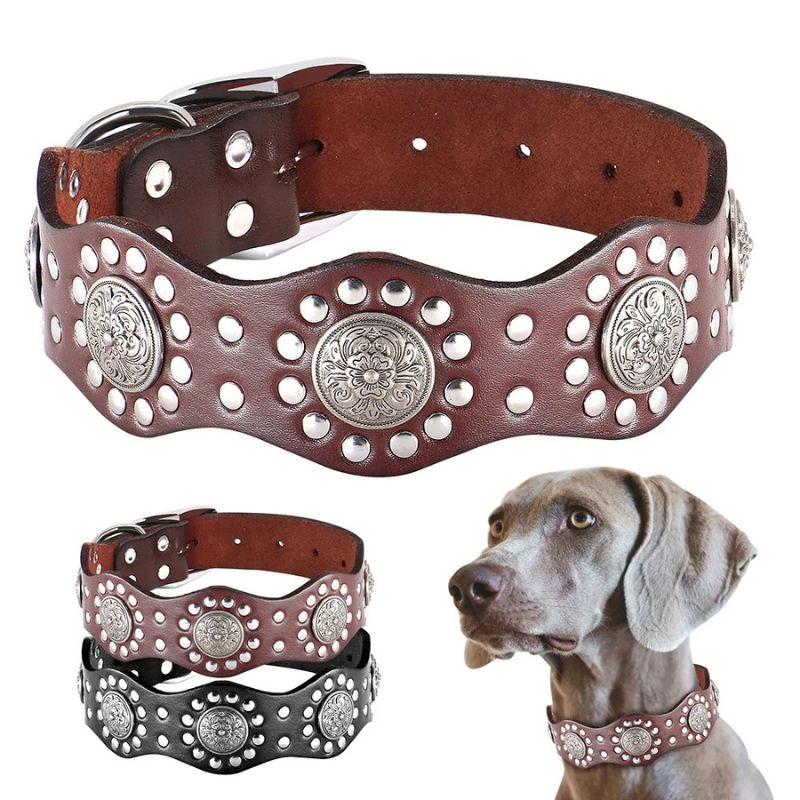dog harness