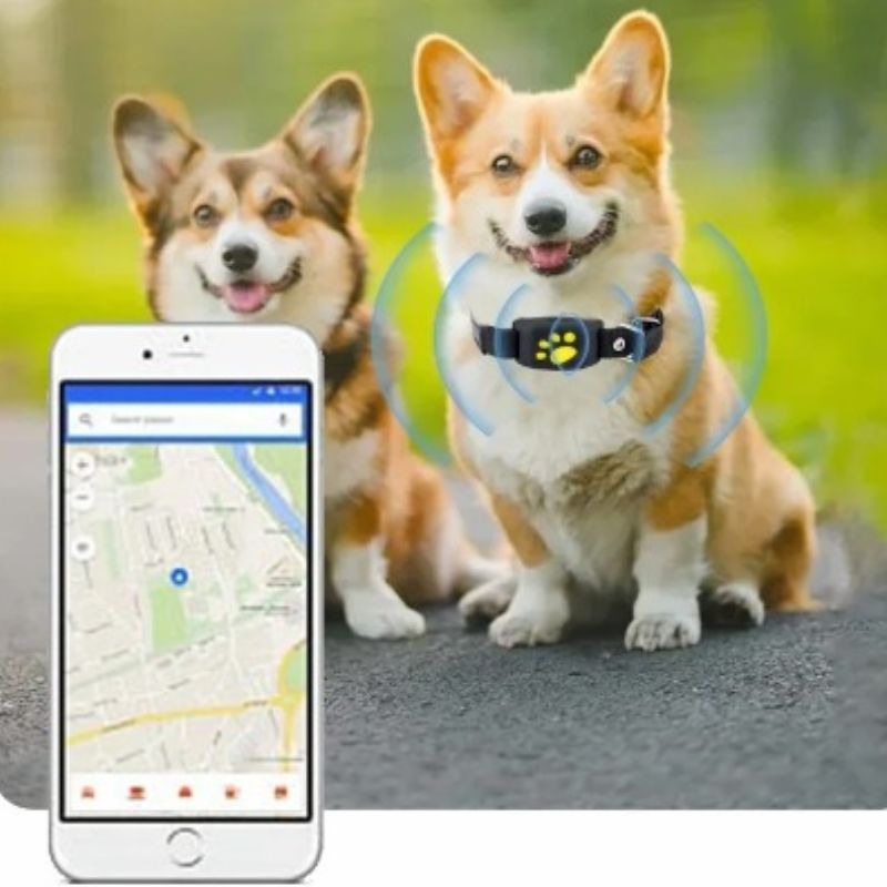 GPS-dog-collar