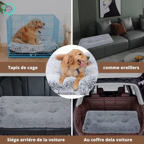 coussin-pour-chien