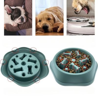 anti-gluttonous-dog-bowl