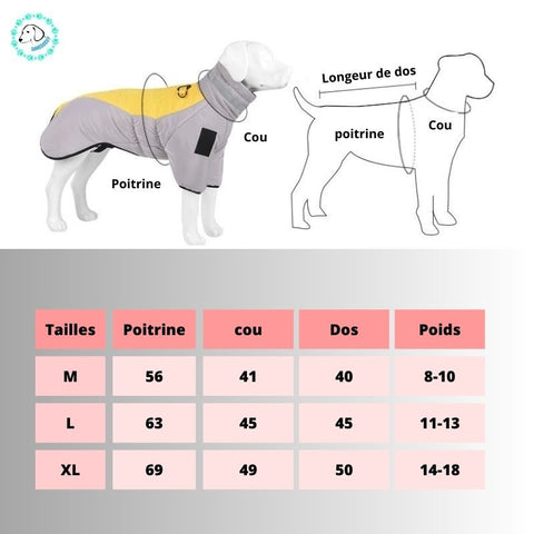 manteau-pour-chien