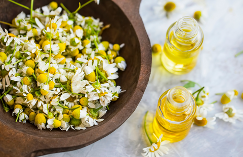 Ground chamomile flower and oil