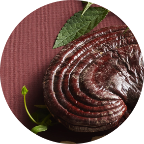 REISHI