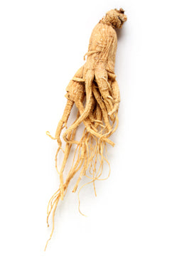 Ginseng anti fatigue et énergie