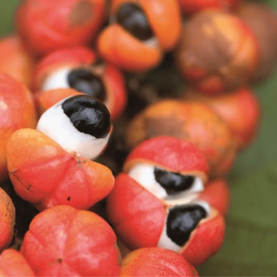 Guarana énergie au naturel