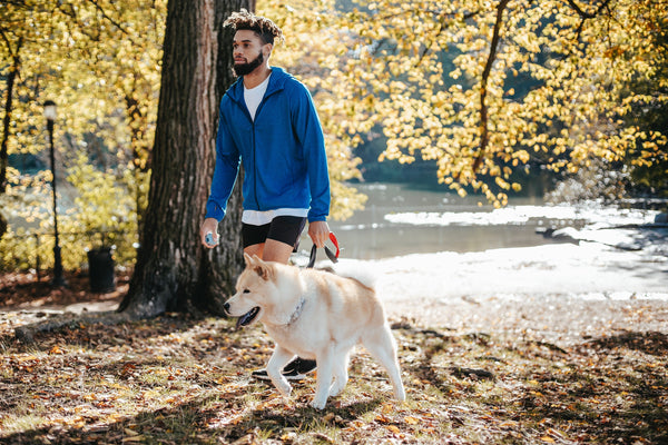 Young Man Walking Dog In Park