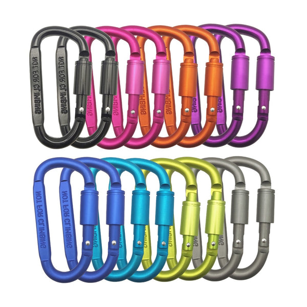 Carabiners in Rainbow Colors