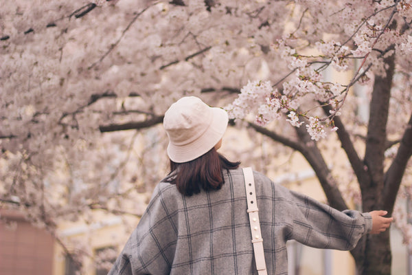 Woman with Hat Looking at Cherry Blossoms Tree
