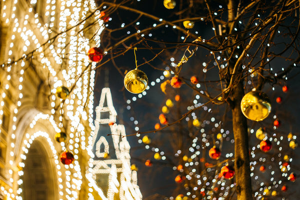 Holiday Christmas Lights in Winter