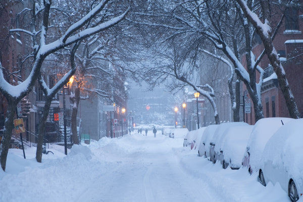 Cold Winter Snowy Street with Trees and Cars