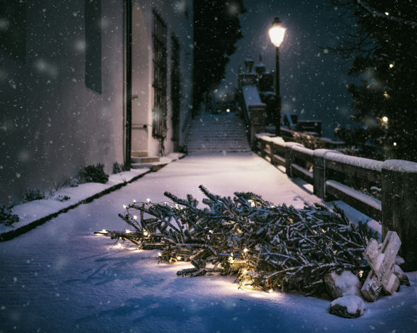 Christmas Tree Fallen Down in Snowy Street