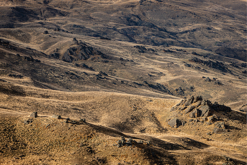 Central Otago Wine Blog - Dicey wines in Bannockburn