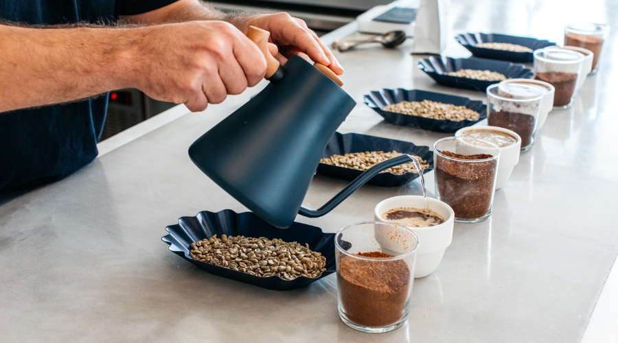 A barista cupping or grading specialty coffee beans