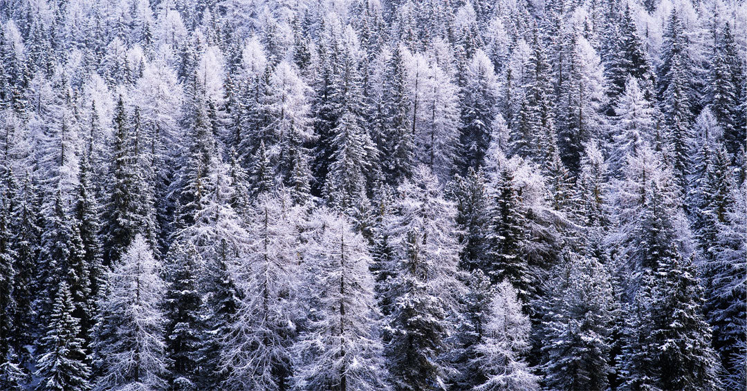 Dolomiti