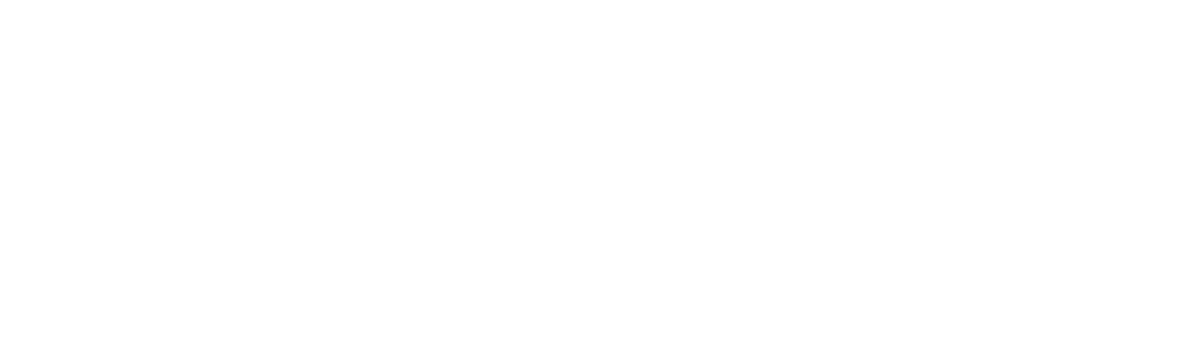 キッズトラベルキャリークラシック