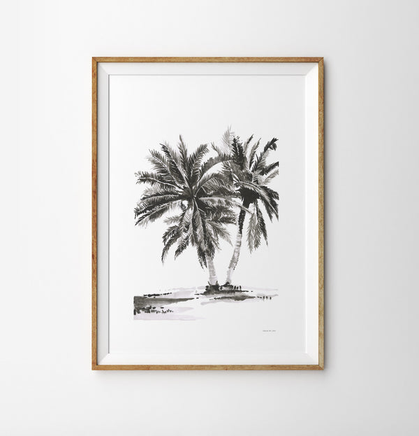 05 | Majestic Palms