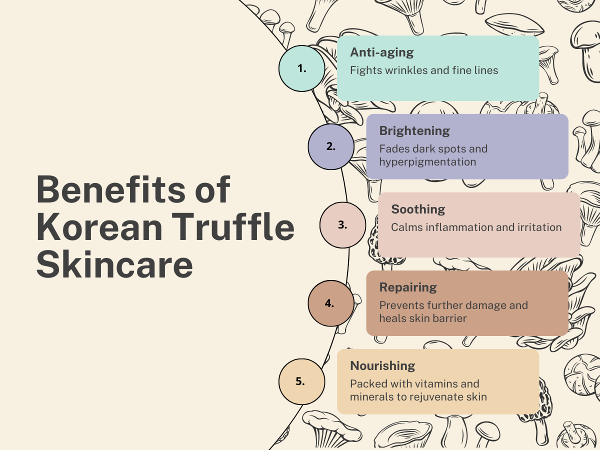 Benefits of Korean Truffle Based Skincare 