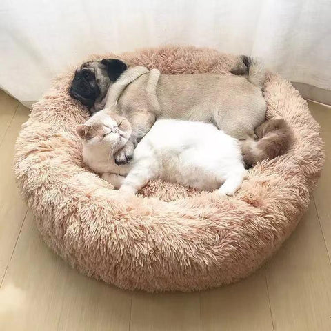 Calming donut pet bed