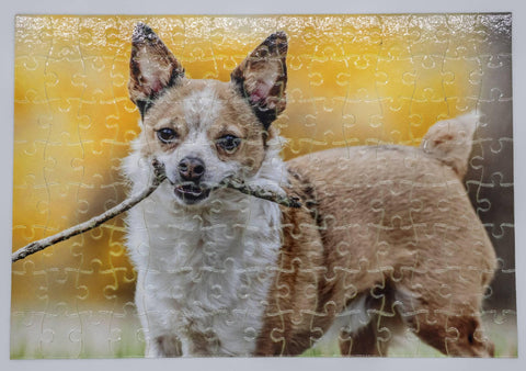Custom Jigsaw Puzzle with Dog Holding a Stick in His Mouth