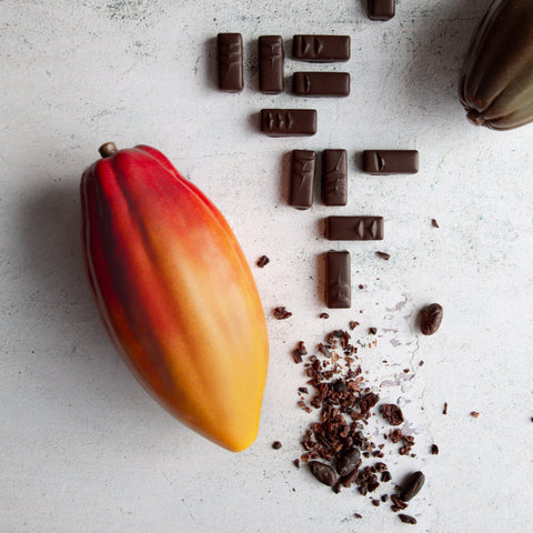 A cacao pod next to our Criollo Single Origin Single Varietal truffles. The World's Rarest and Most Expensive Cacao.