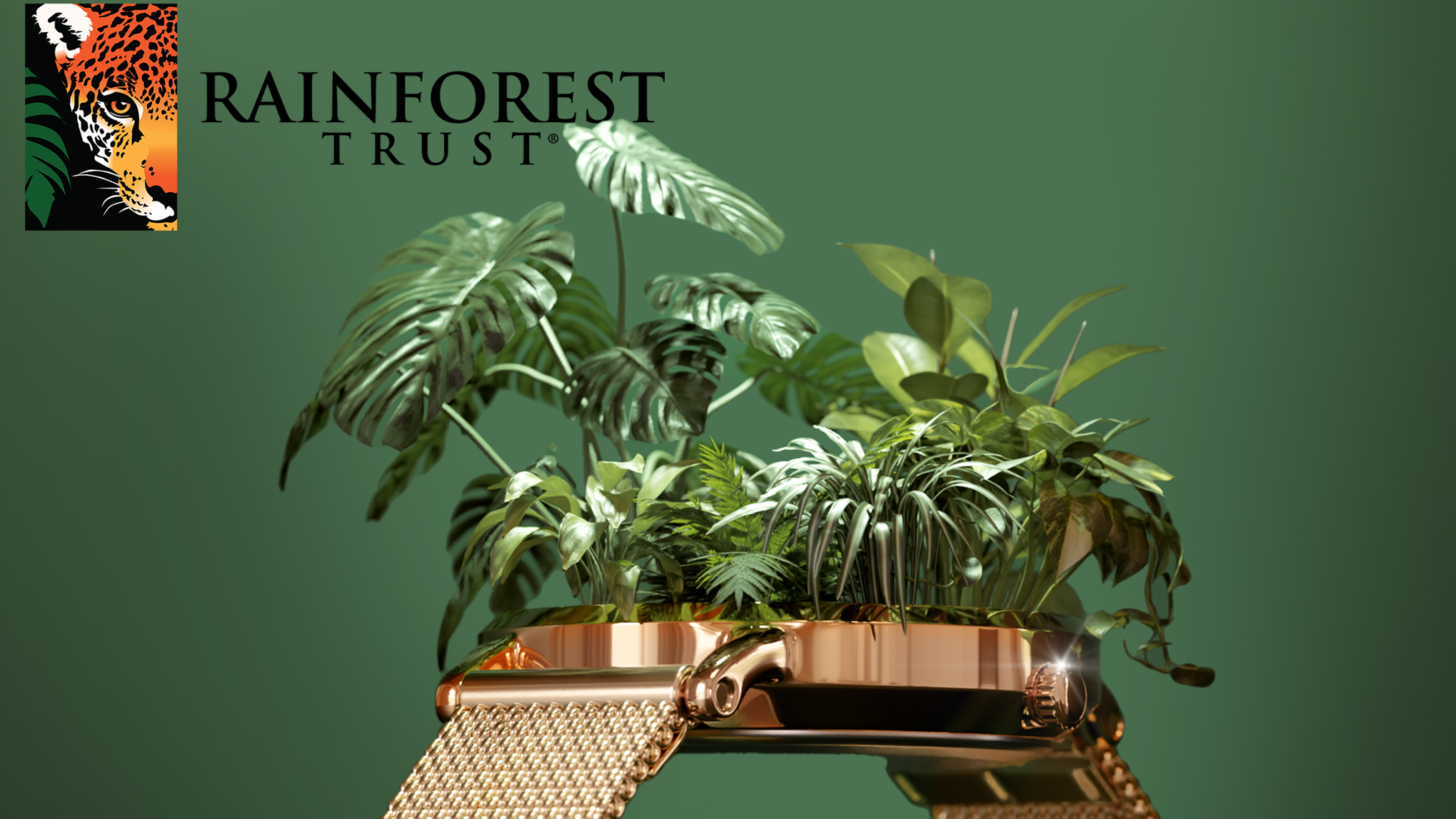 Rainforest trust partnership