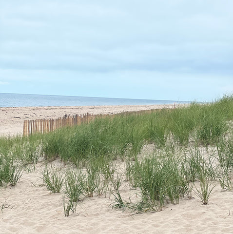 Hamptons Beach