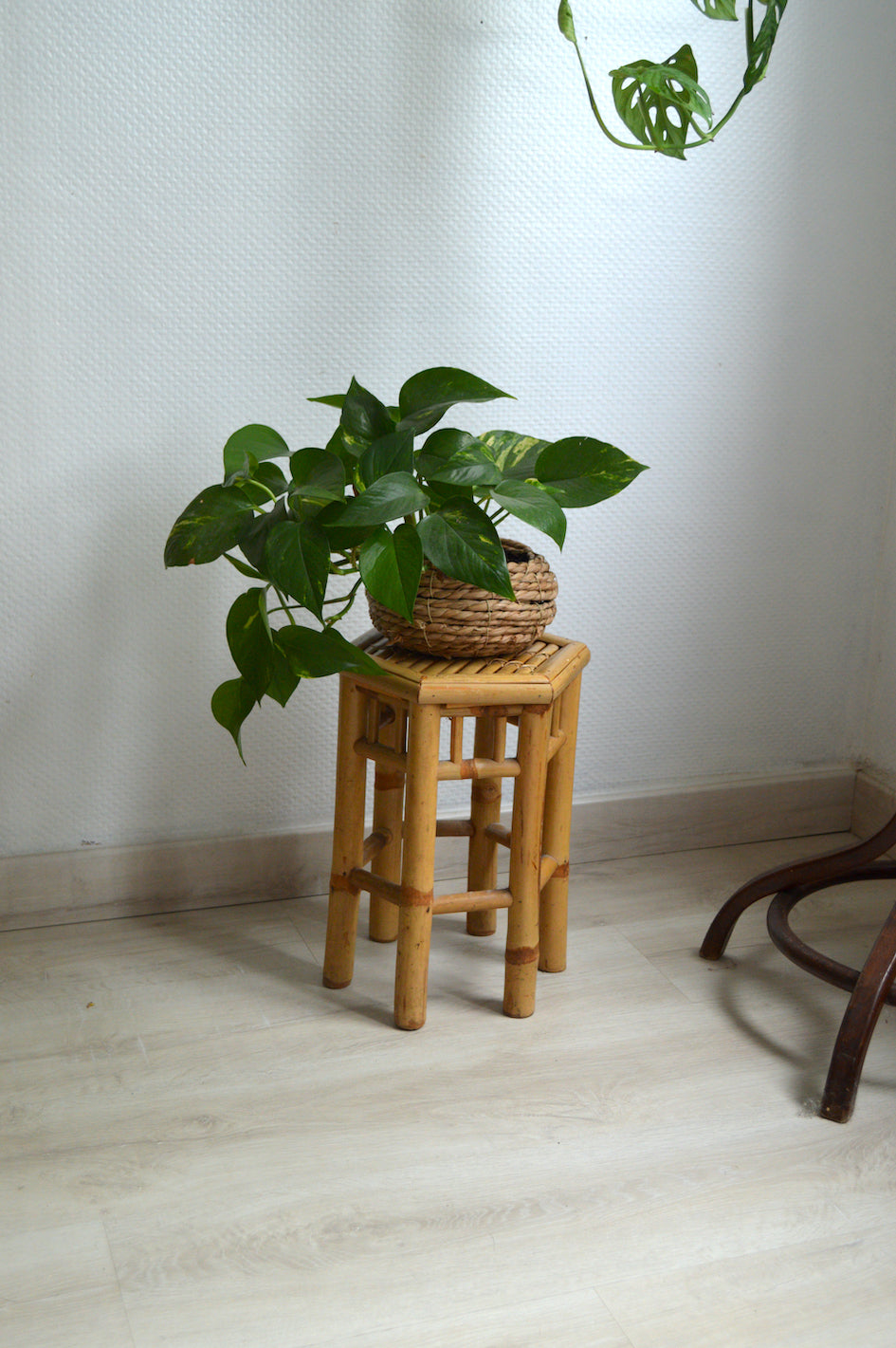 Porte-plante en bambou