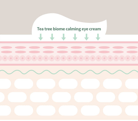 Farmstay Tea Tree Biome Calming Eye Cream - Korea Korean Skincare Eye Care - Ushops