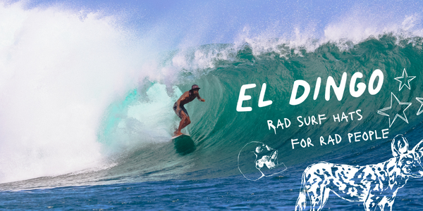 El Dingo Surf Hats How To Watch The Pass Surf Cam For Free