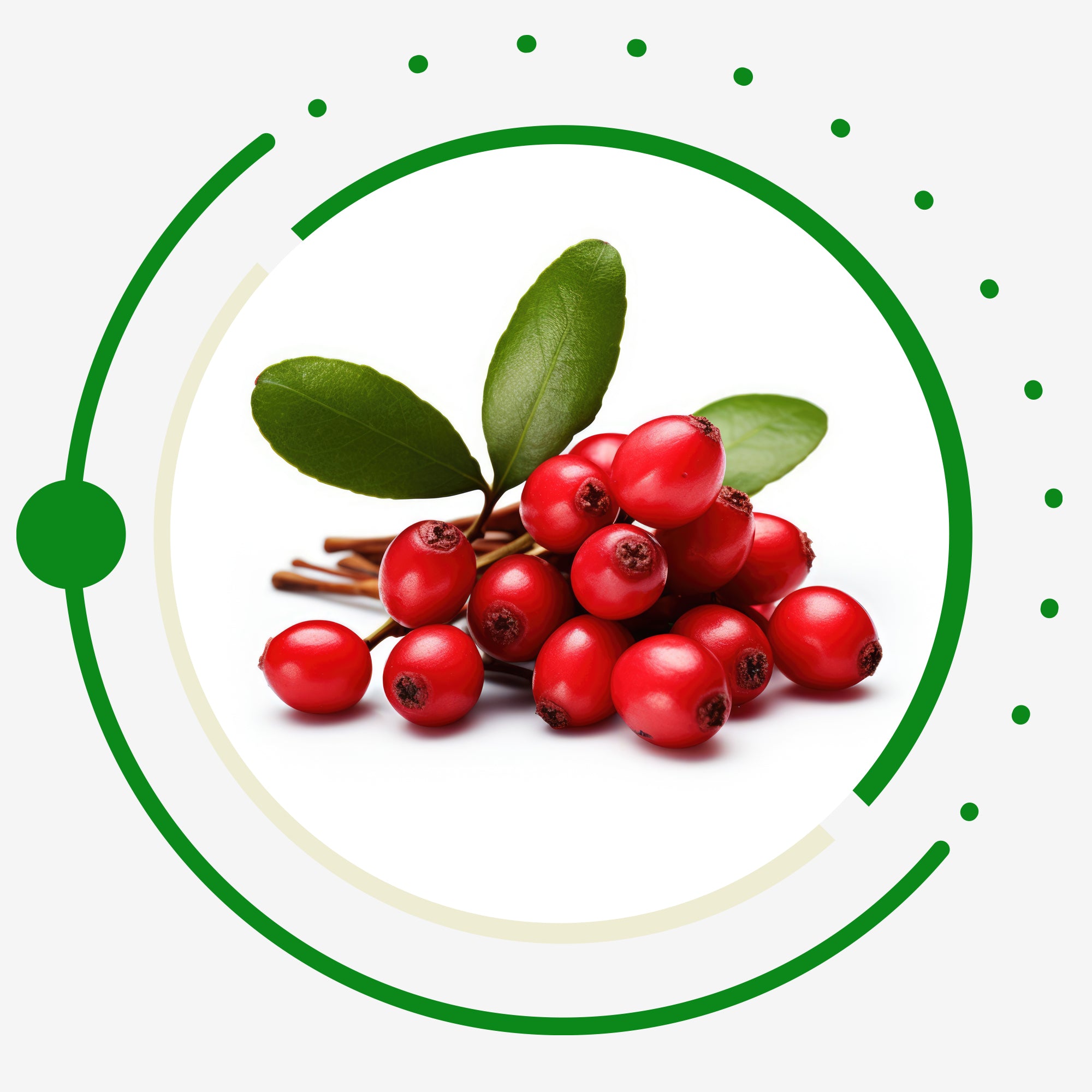 Wintergreen Oil