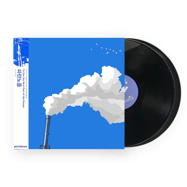 枚数限定 Parannoul アナログ レコード LP - crumiller.com