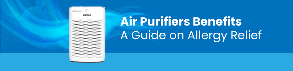 Air Purifier Benefits - A Guide on Allergy Relief