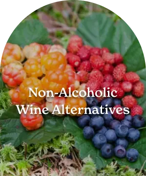 non-alcoholic wine alternatives